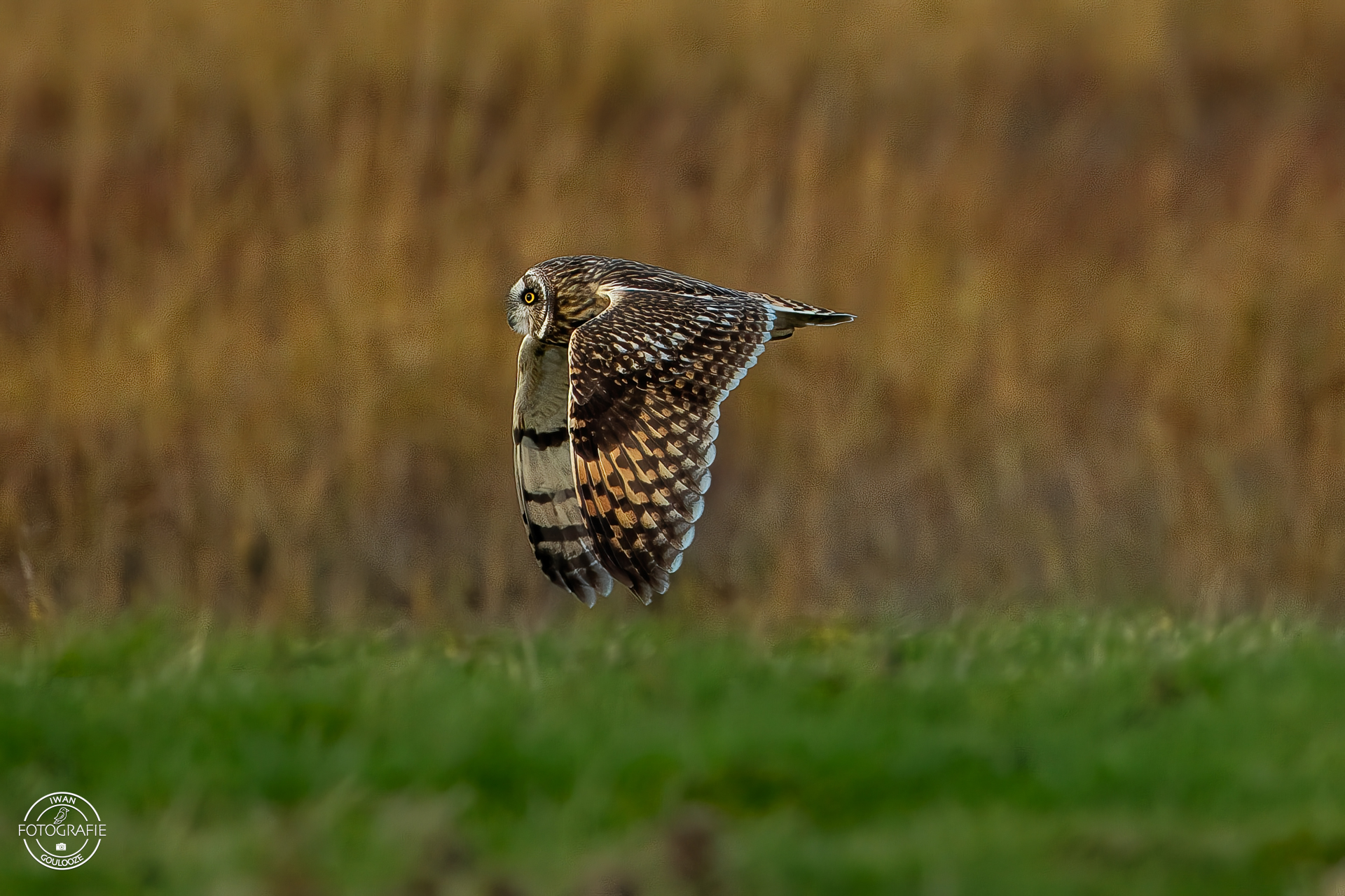 16 oktober 2022 170232 1R2A3839 bewerkt